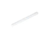 Philips Reglette LED CoreLine BN126C 49W 6400lm - 840 Bianco Freddo | 120cm - 1x Cablaggio Entra/Esci